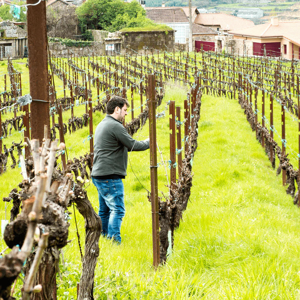 Heaven & Hell Viño de Escostas 2018
